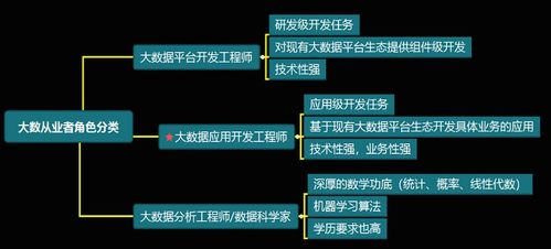 大數(shù)據(jù)開發(fā)工程師與數(shù)據(jù)經(jīng)濟(jì)信息咨詢 技能融合與職業(yè)發(fā)展